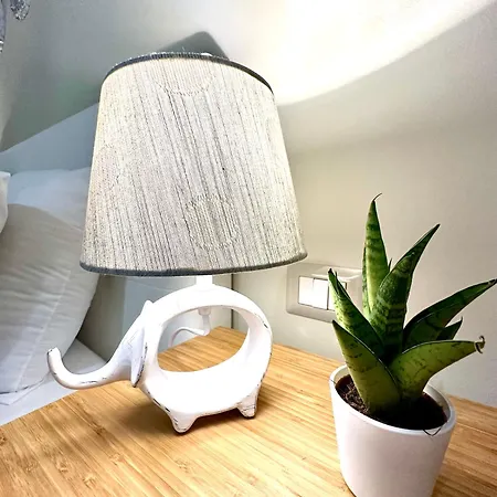 Affittacamere Chiaraluce House *